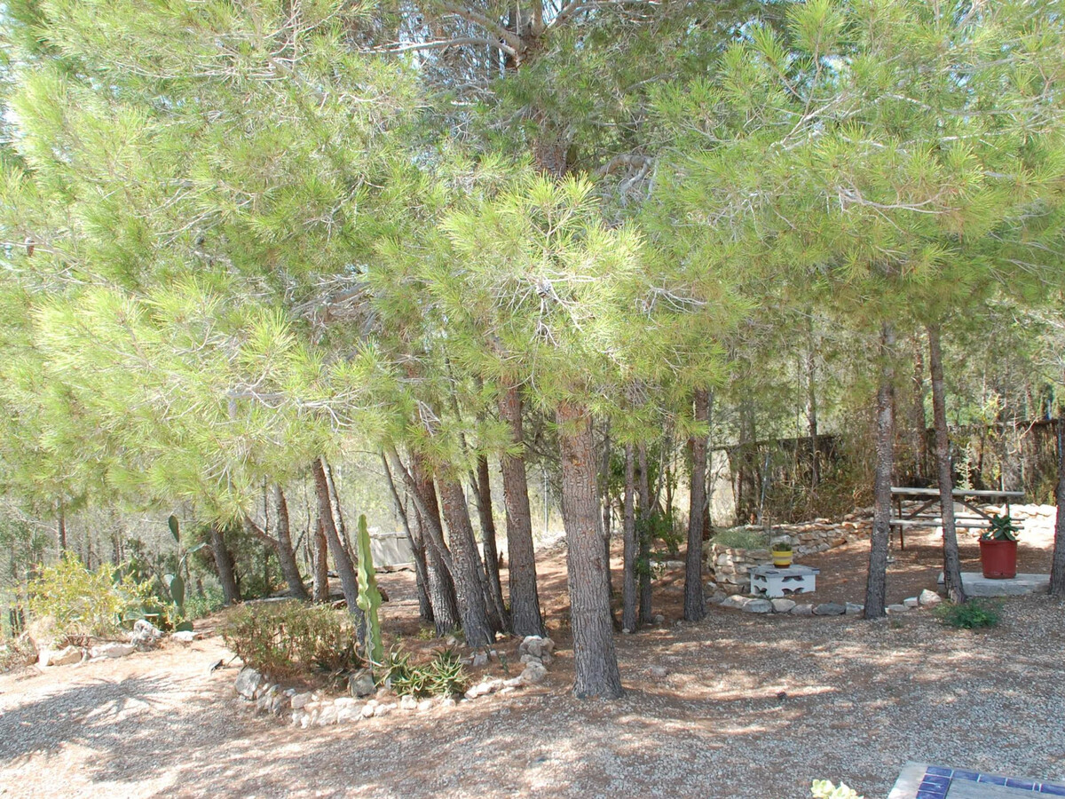 Villa ST JORDI à Sant Jordi : piscine privée et cuisine d'été - Photo 8