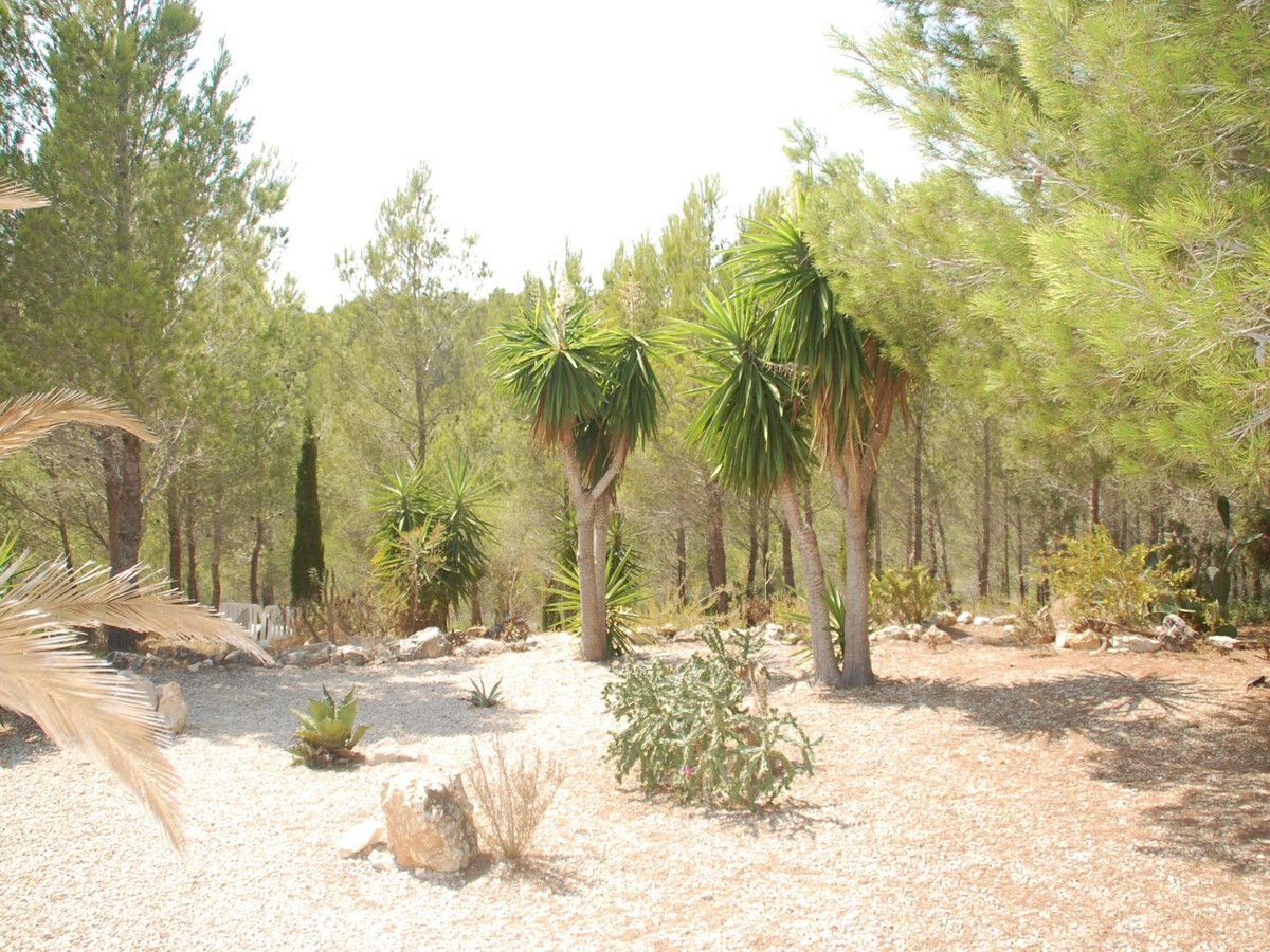 Villa ST JORDI à Sant Jordi : piscine privée et cuisine d'été - Photo 9