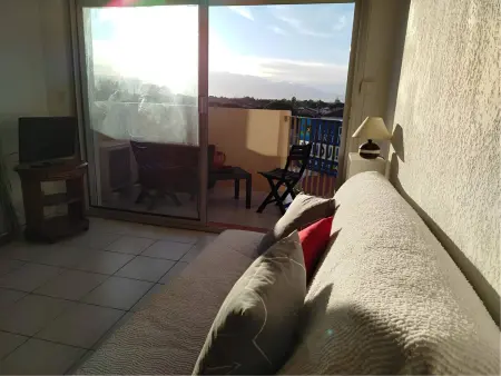 T2 climatisé vue mer à Saint-Cyprien, 4 pers. : photo 4