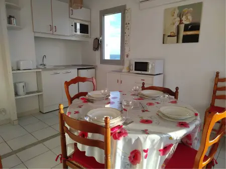 T2 climatisé vue mer à Saint-Cyprien, 4 pers. : photo 7