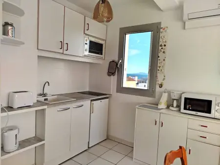 T2 climatisé vue mer à Saint-Cyprien, 4 pers. : photo 10