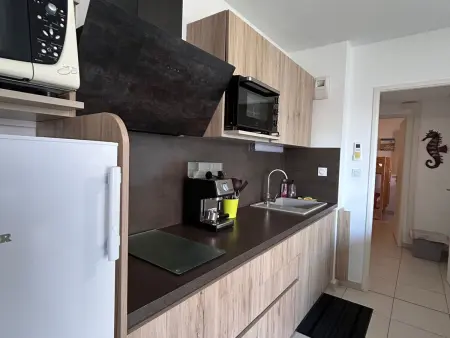 Appart 56 m² climatisé à Mèze, vue étang de Thau : photo 5