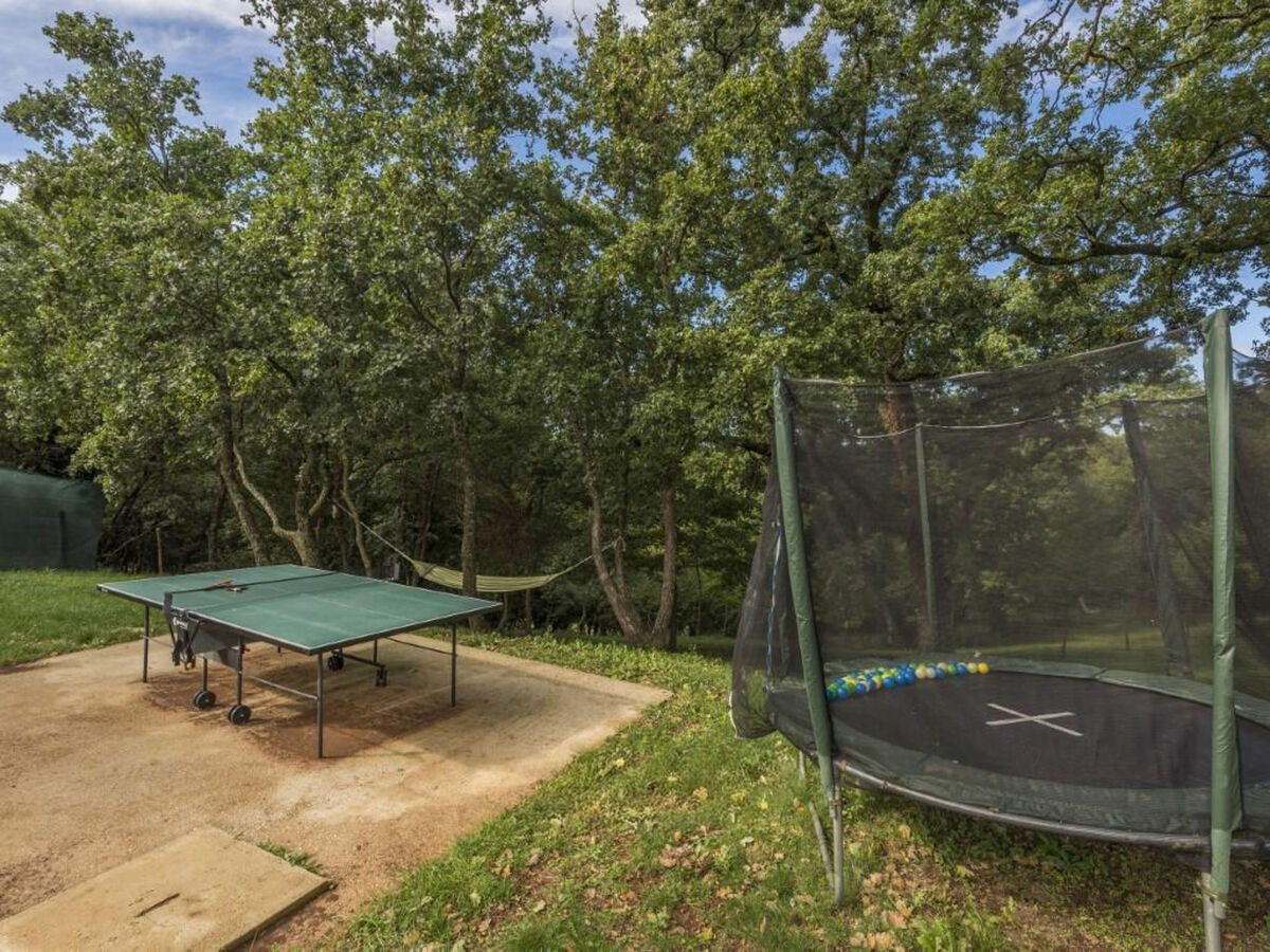 Maison Terezija : piscine privée à Tinjan - Photo 17