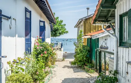 Maison 5 chambres avec piscine privée à Lège-Cap-Ferret : photo 31