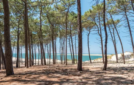 Maison 5 chambres avec piscine privée à Lège-Cap-Ferret : photo 33