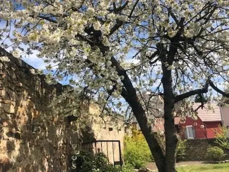 Gîte 2 pers. Merxheim, terrasse privée et parking : photo 18
