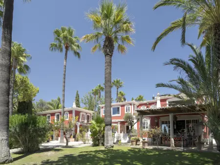 Villa Oasis, quinta du XVIIIe siècle rénovée à Almancil : photo 7