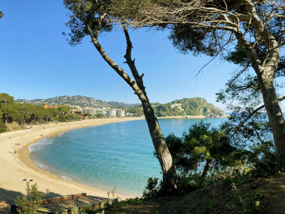 Appartement Odisea - 3 chambres, 250 m plage Lloret - Photo 27