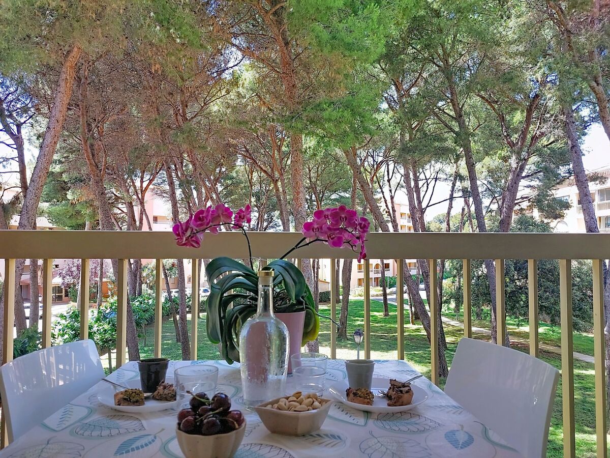Appartement Palmier 2 pièces à 400 m de la mer - Photo 1