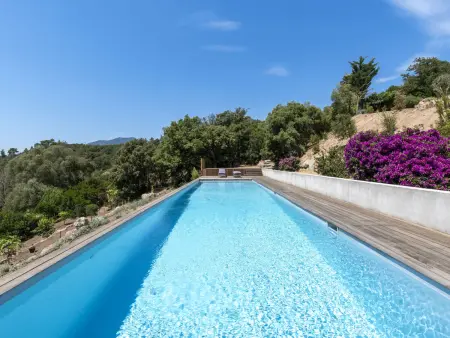 La Dorianzza, villa 10 pers. avec piscine à Porto Vecchio : photo 6