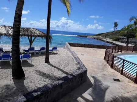 Studio avec piscine partagée à Saint-François, à 280 m de la plage : photo 12