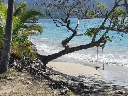Appartement avec jardin clôturé et plage à 200 m, Sainte-Luce : photo 11