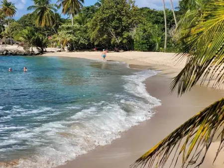 Appartement avec jardin clôturé et plage à 200 m, Sainte-Luce : photo 12