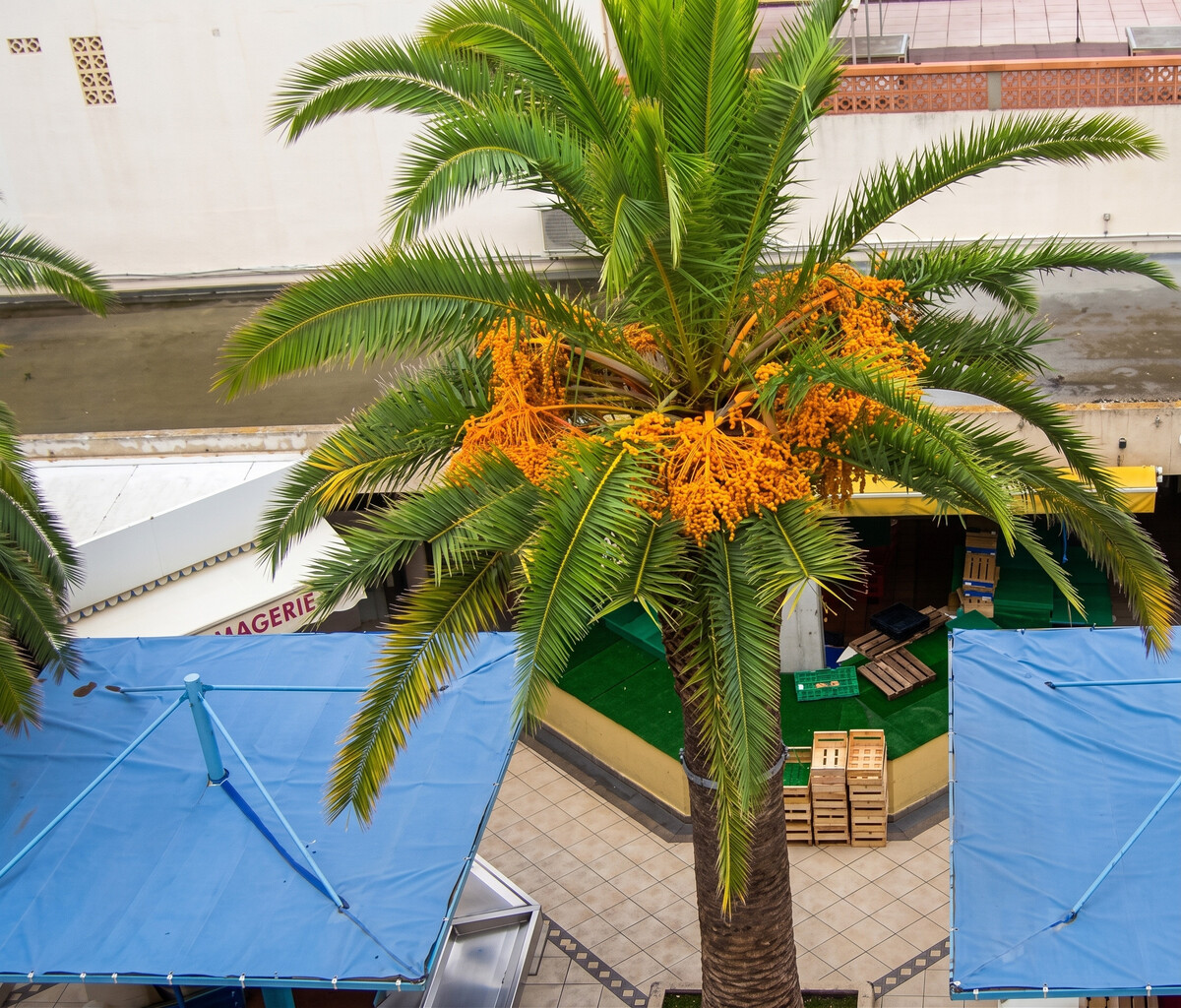 Studio 26 m² avec jardin à Valras-Plage - Photo 12