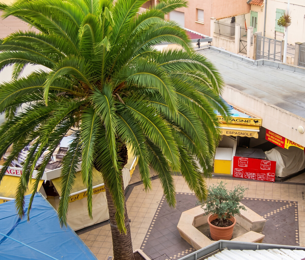 Studio 26 m² avec jardin à Valras-Plage - Photo 13