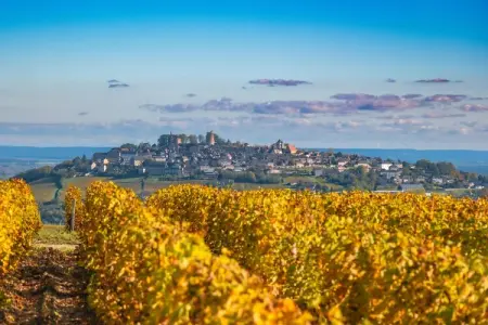 Gîte Les Charmes, maison 6 pers. vignobles Sancerre : photo 13