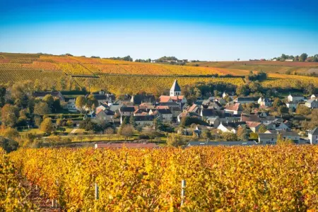 Gîte Les Charmes, maison 6 pers. vignobles Sancerre : photo 14