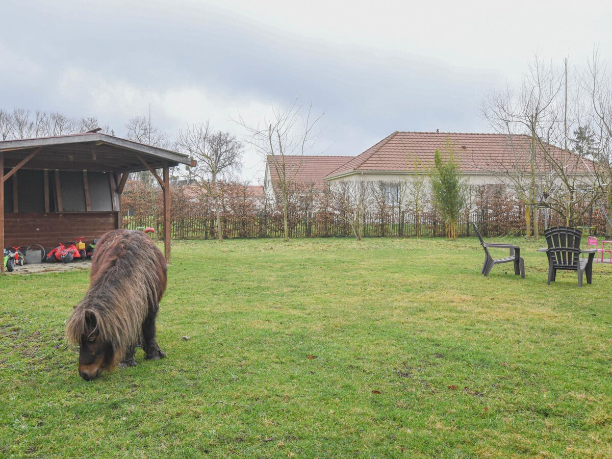 La Maison de Papy - Gîte 6 pers. avec poneys à Courteranges - Photo 23