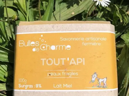 Maison Charme avec Spa à Bragelogne-Beauvoir, Gite 6 personnes à Bragelogne Beauvoir - Photo 33
