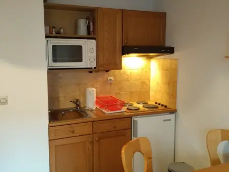 Studio 4 pers aux Carroz - Centre, animaux acceptés : photo 3