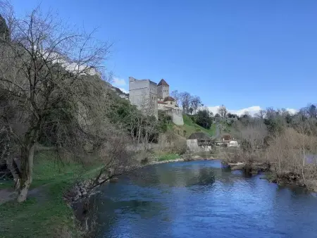 Appartement avec piscine privée à Saint-Palais, 60 m² - Photo 12