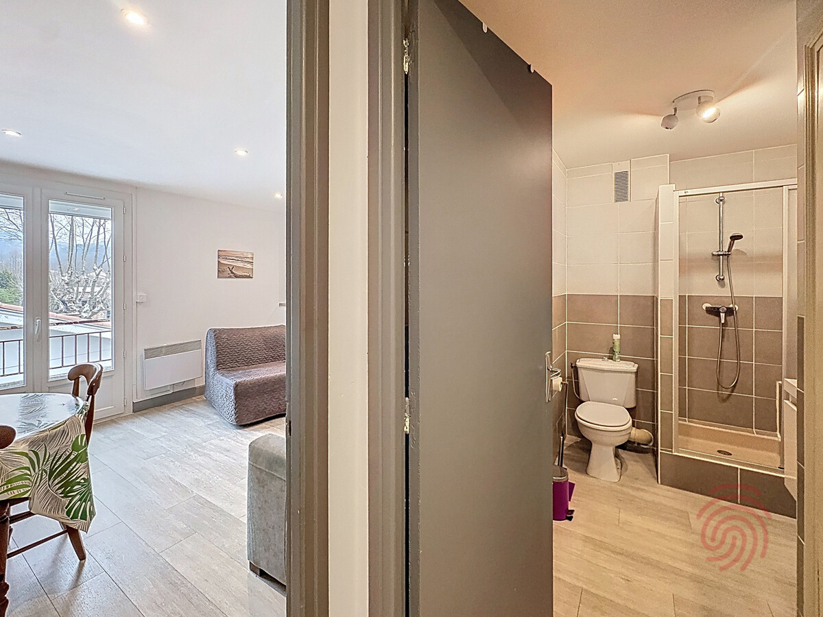 Studio climatisé 28 m² à 100 m des Thermes, animaux OK - Photo 9