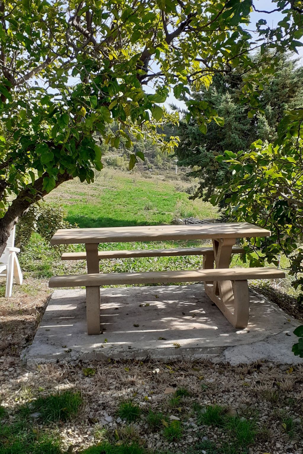 Lou Pitchot Maximénet - Le Renard, Buis-les-Baronnies - Photo 6