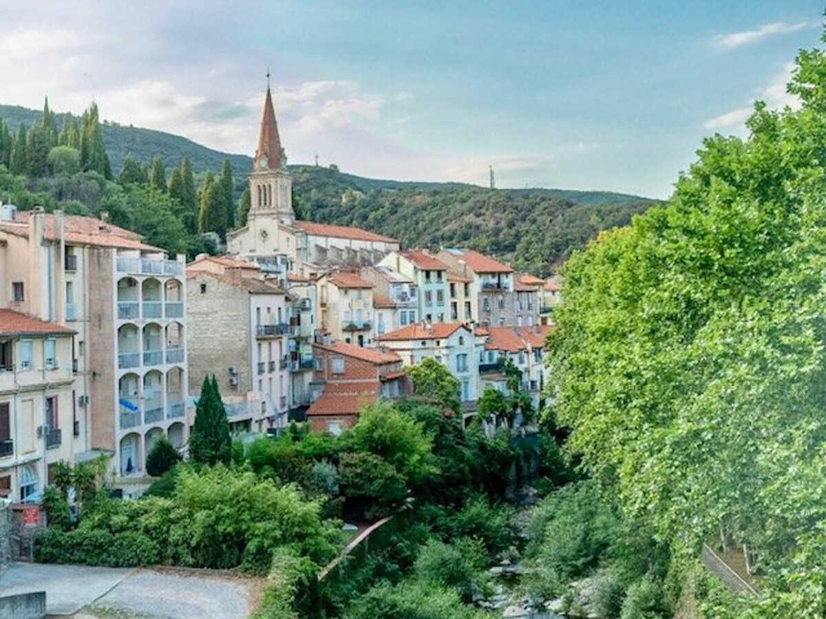 Studio 25m² avec animaux admis à Amélie-les-Bains - Photo 9