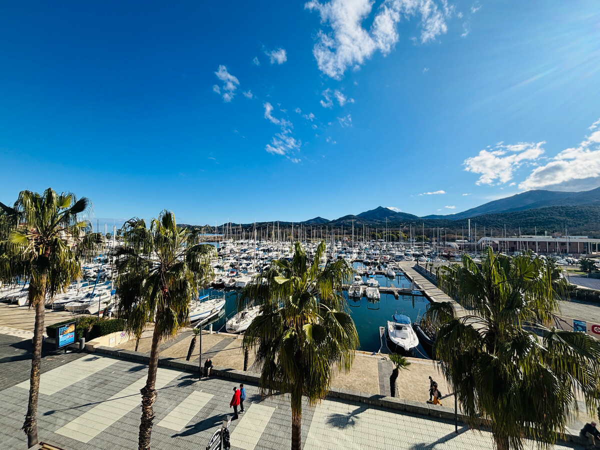 T2 avec cabine au port d'Argelès, terrasse sud vue mer - Photo 12