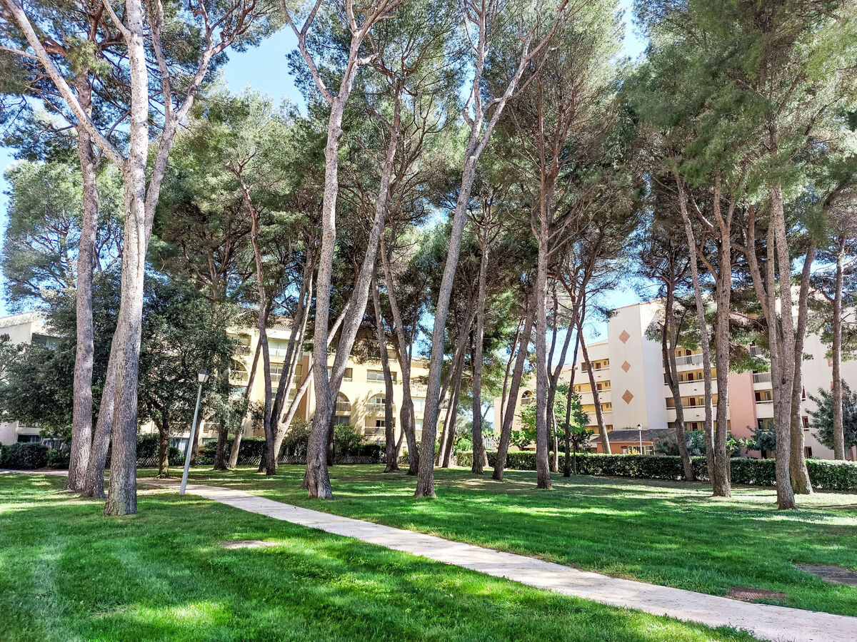 Appartement Mimosa - 400 m de la plage - Photo 20
