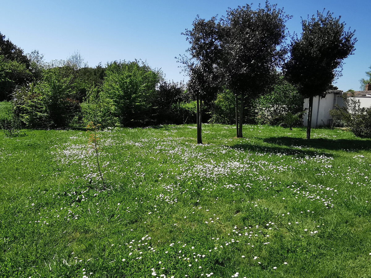 Maison en pierres 6 pers, jardin et terrasse SO - Photo 28