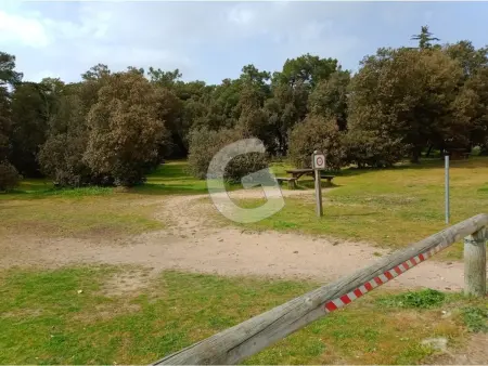 Maison 4 pers. en Forêt, Proche Plages et Activités, Saint-Vincent-sur-Jard - Photo 17