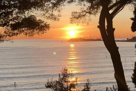 La Sauvagère, maison à 50m de la plage à Sanary : photo 35