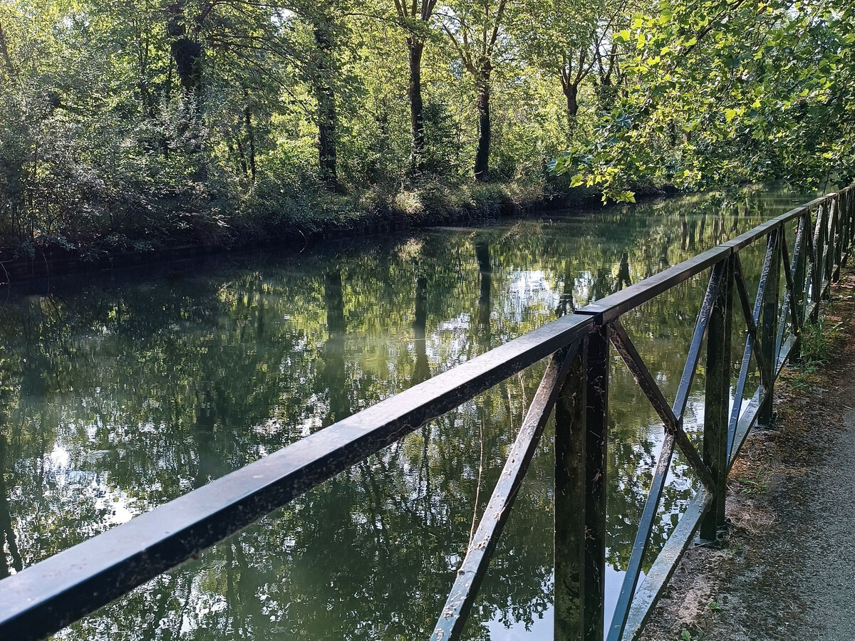 La Maison des Bouvreuils – Gîte 8 pers. Accueil Vélo - Photo 34