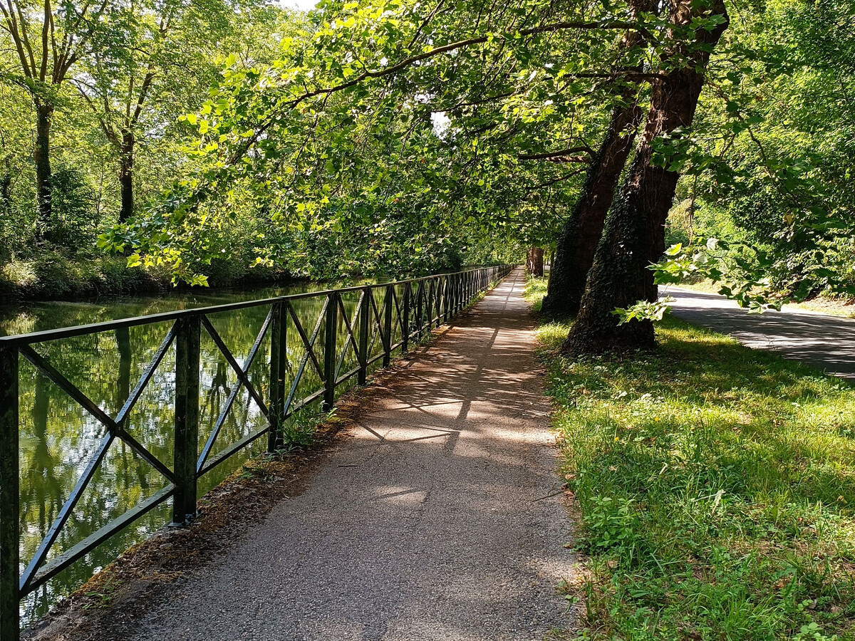La Maison des Bouvreuils – Gîte 8 pers. Accueil Vélo - Photo 35