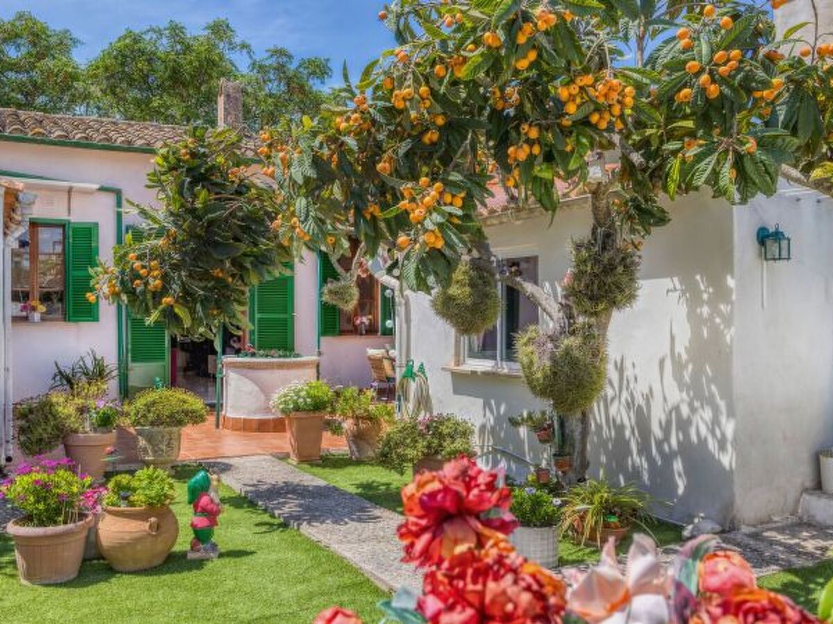 Casa Vileta - Maison 2 chambres à Vileta - Photo 1