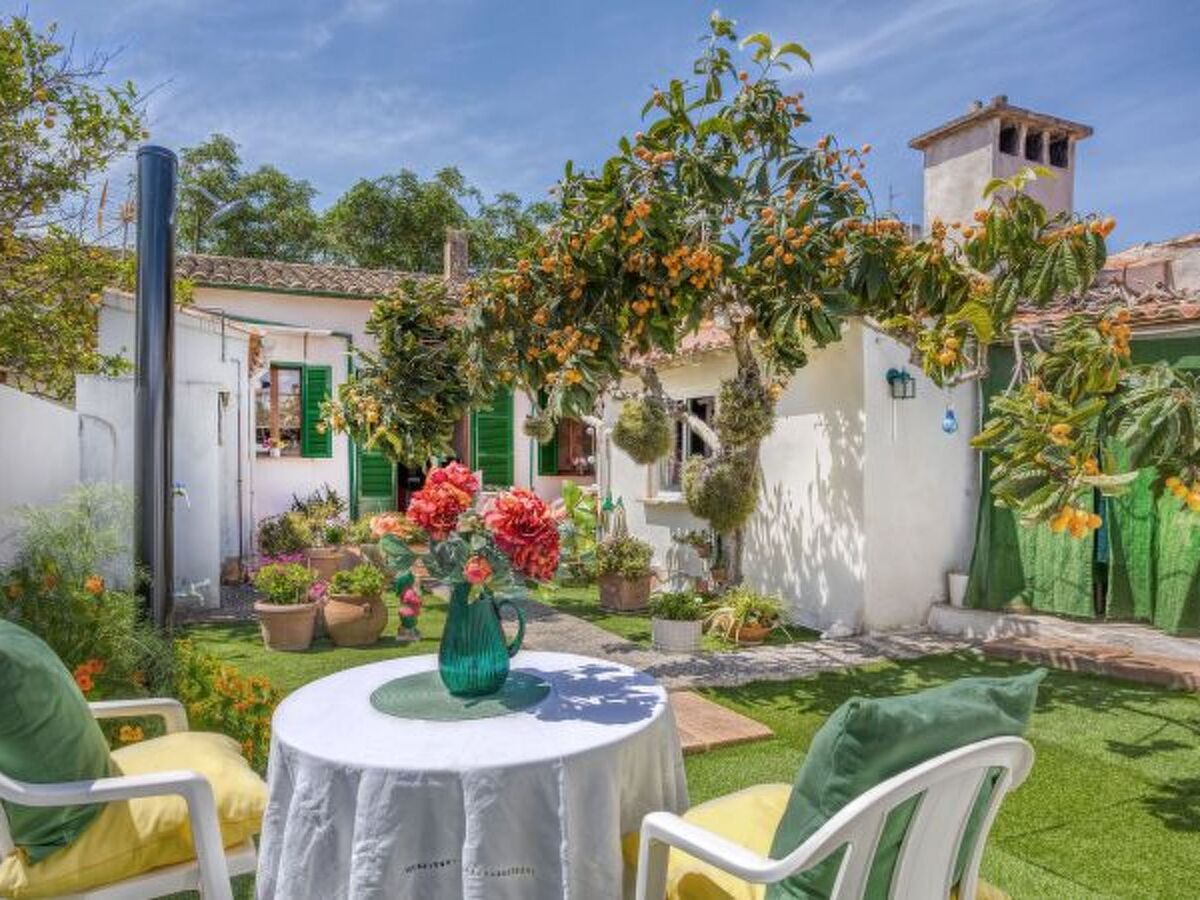 Casa Vileta - Maison 2 chambres à Vileta - Photo 25