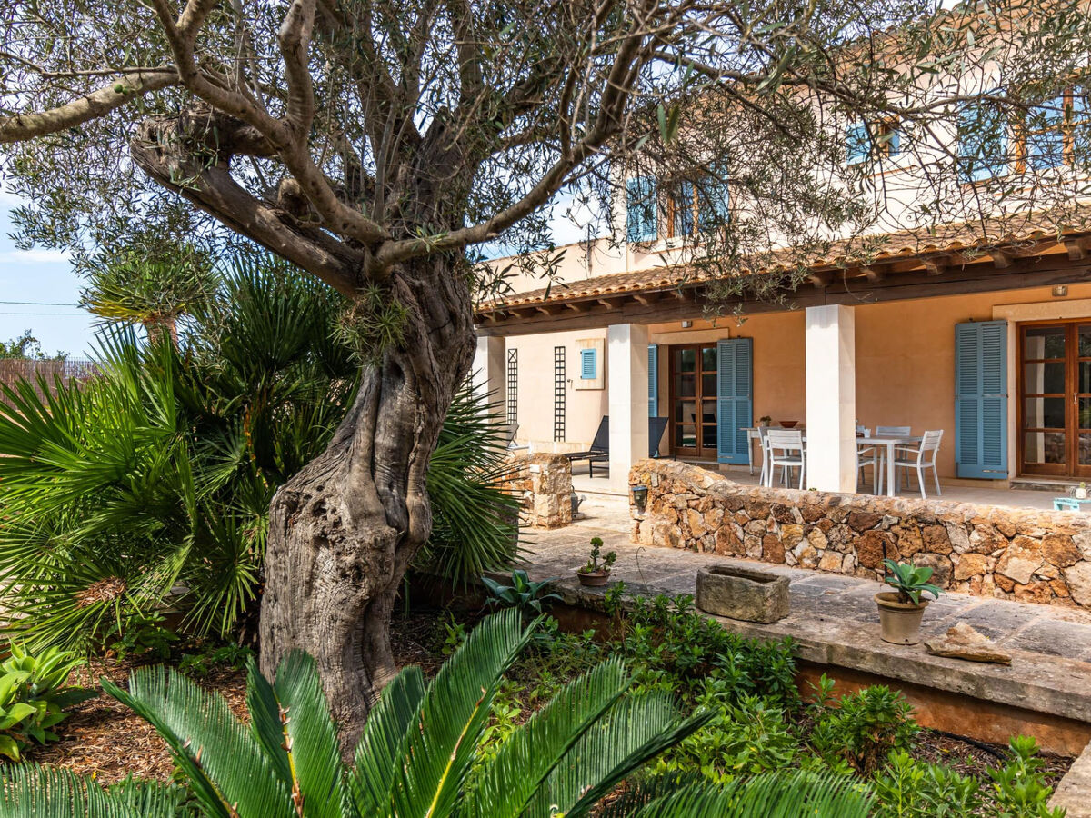 Sa Bassa – Maison 4 chambres avec piscine à Cala Llombards - Photo 10