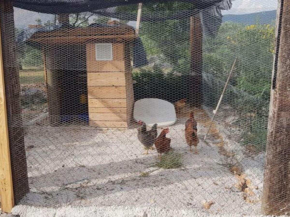 Villa Eco Solus à Drage avec piscine privée - Photo 30
