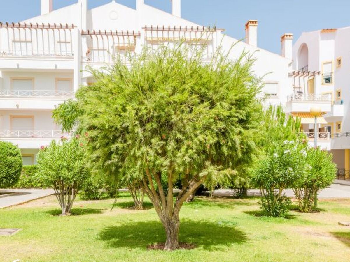 Studio 74 m² à Praia da Falesia, près de la plage - Photo 20