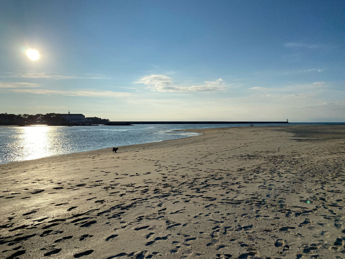 Gîte Bâbord à Guérande : 5 pers., terrasses 100m², animaux acceptés - Photo 19
