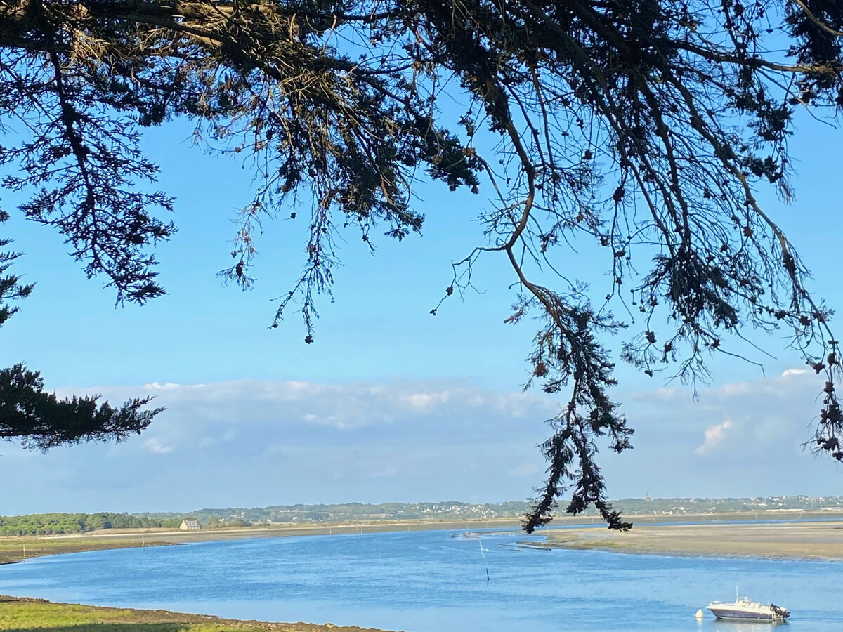 Gîte Bâbord à Guérande : 5 pers., terrasses 100m², animaux acceptés - Photo 22