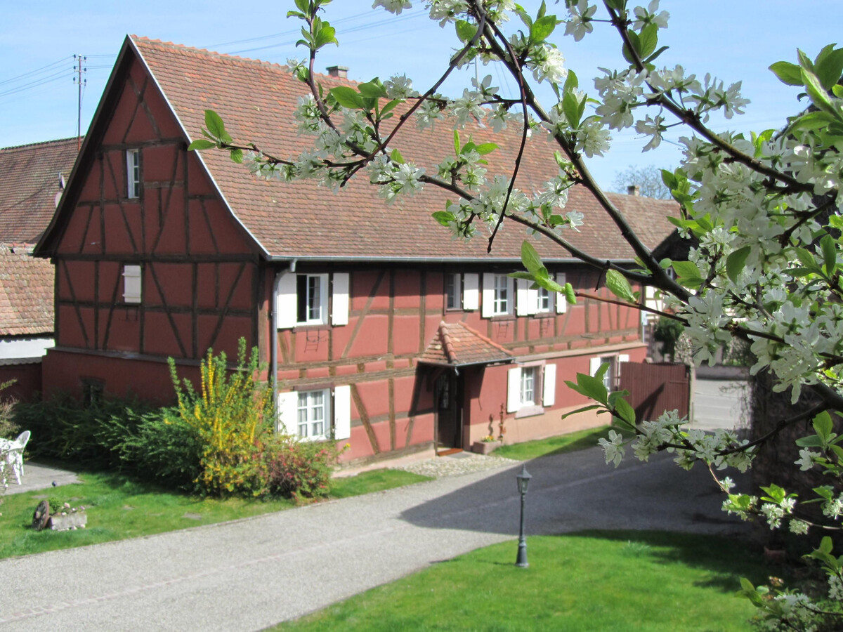 Gîte alsacien 6 pers., 4 chambres près de Colmar - Photo 25