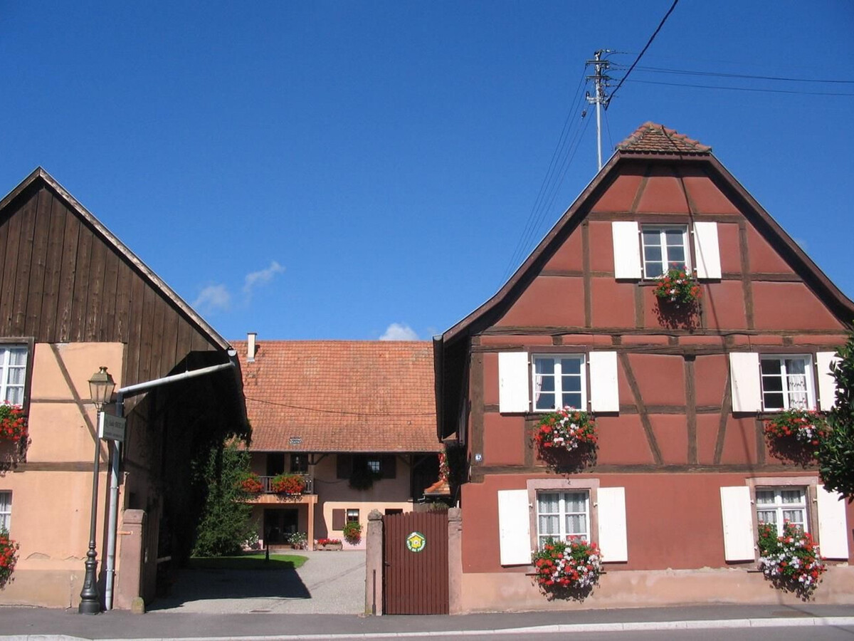 Gîte alsacien 6 pers., 4 chambres près de Colmar - Photo 28
