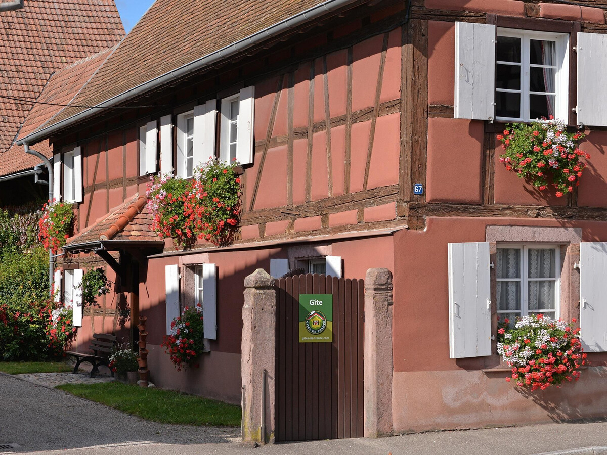 Gîte alsacien 6 pers., 4 chambres près de Colmar - Photo 30