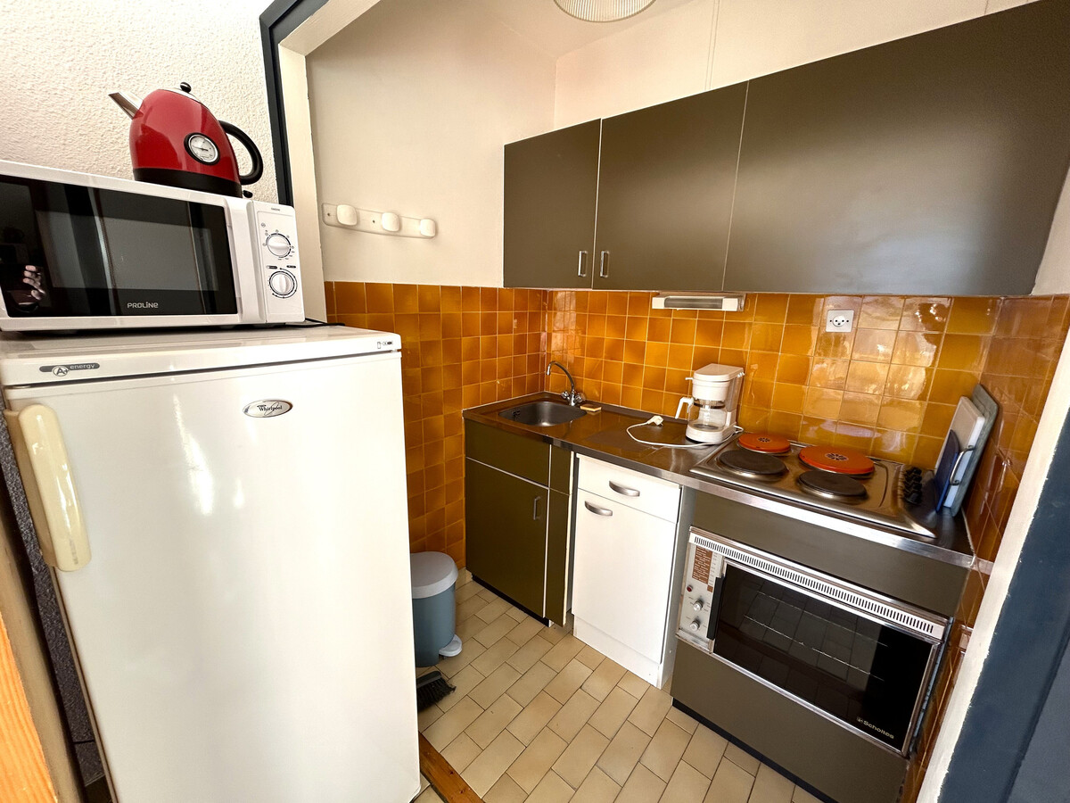 Appartement 4 pers, terrasse 20m² vue mer et montagne - Photo 9