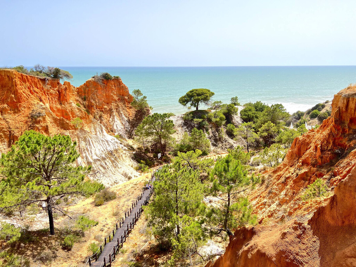 Appartement 50m plage, piscine et Netflix à Albufeira - Photo 30