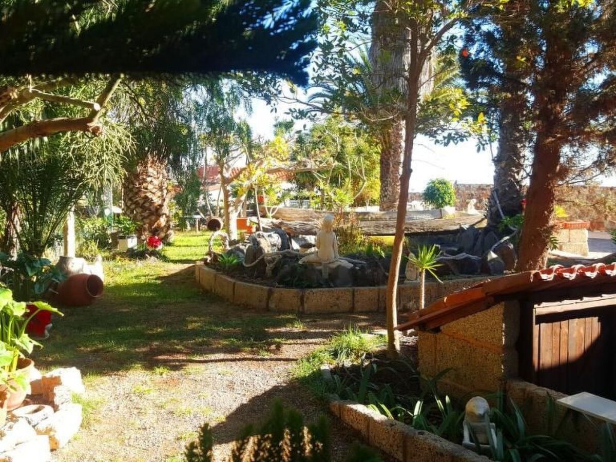 Aquarius – Appartement avec piscine à Arico - Photo 3