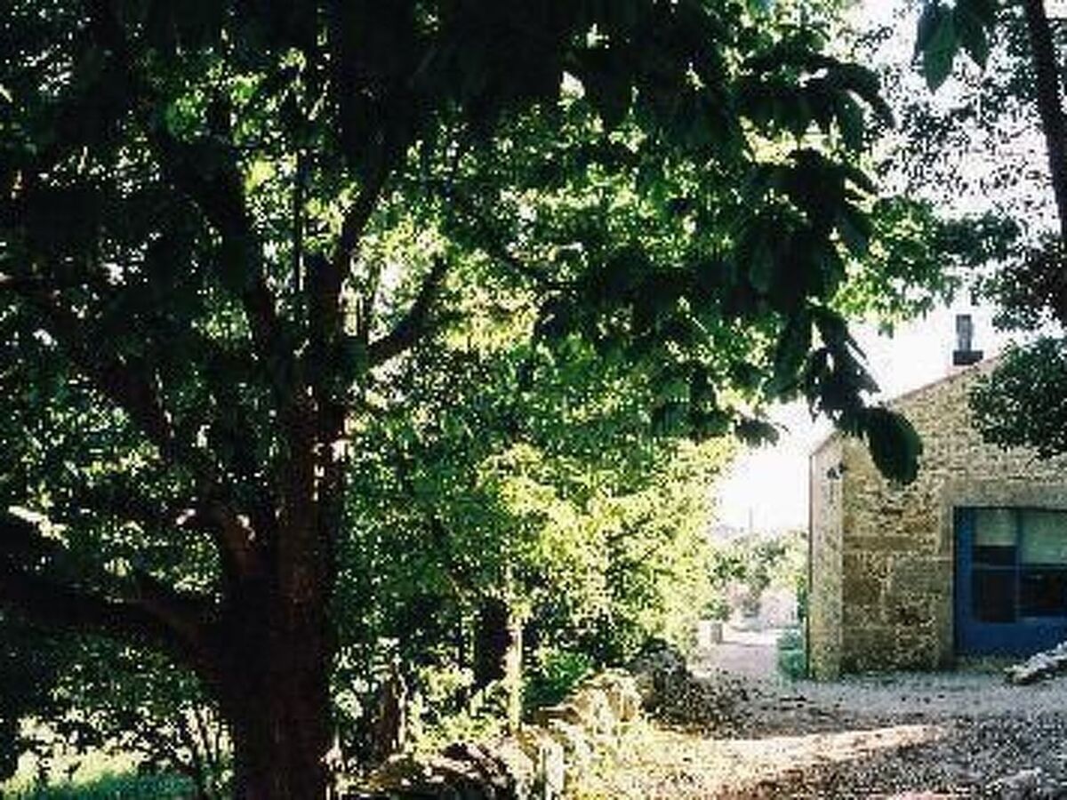Maison rurale Oia, jardin 5000m² et rivière - Photo 11