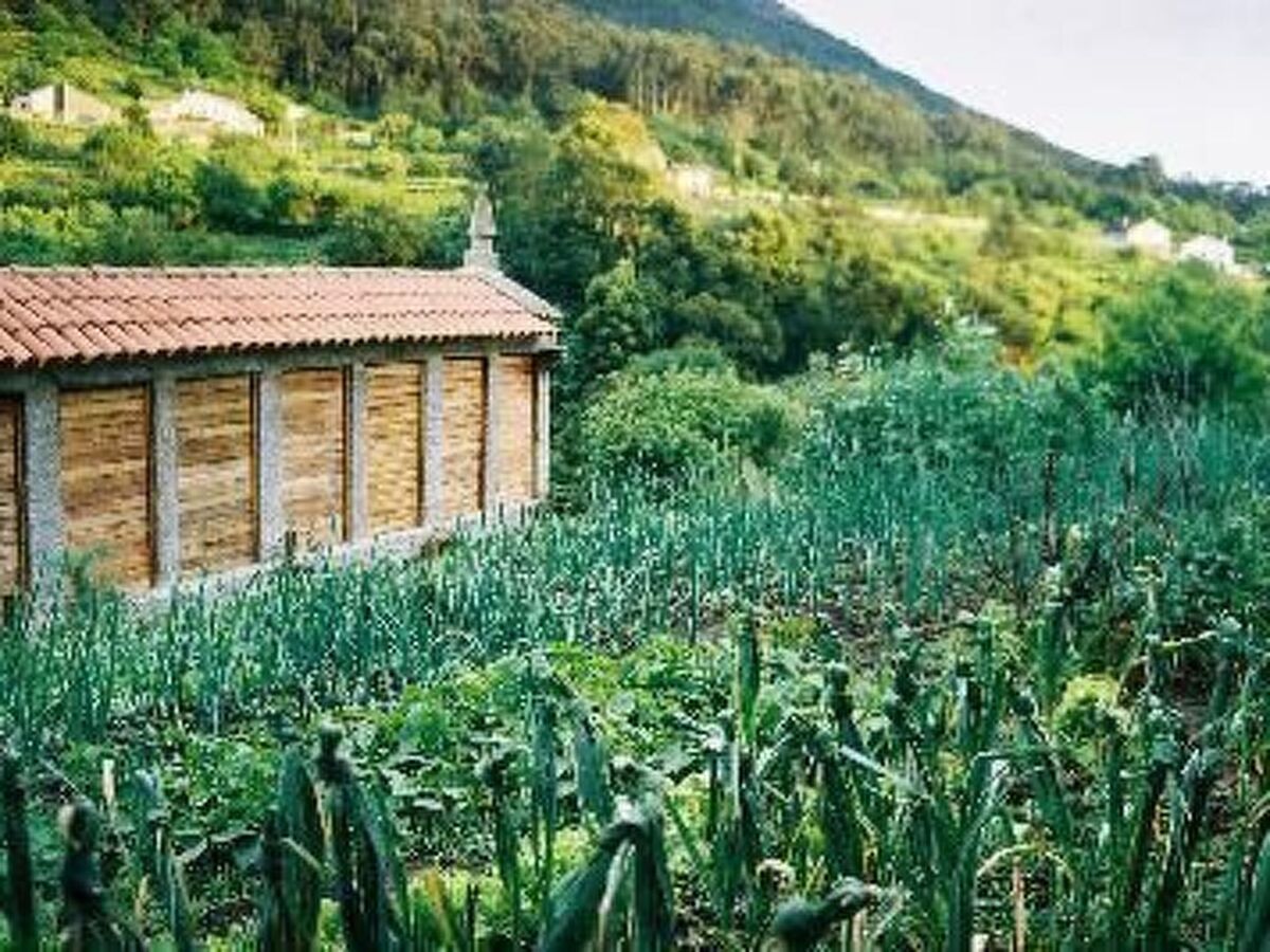Maison rurale Oia, jardin 5000m² et rivière - Photo 18